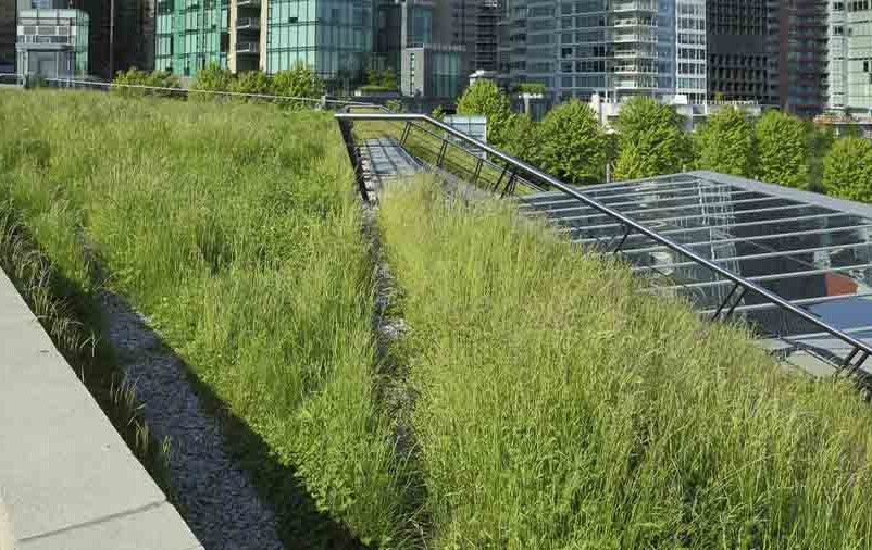 Já sabe quais são as vantagens da grama sintética em telhado verde? Leia o artigo e descubra!