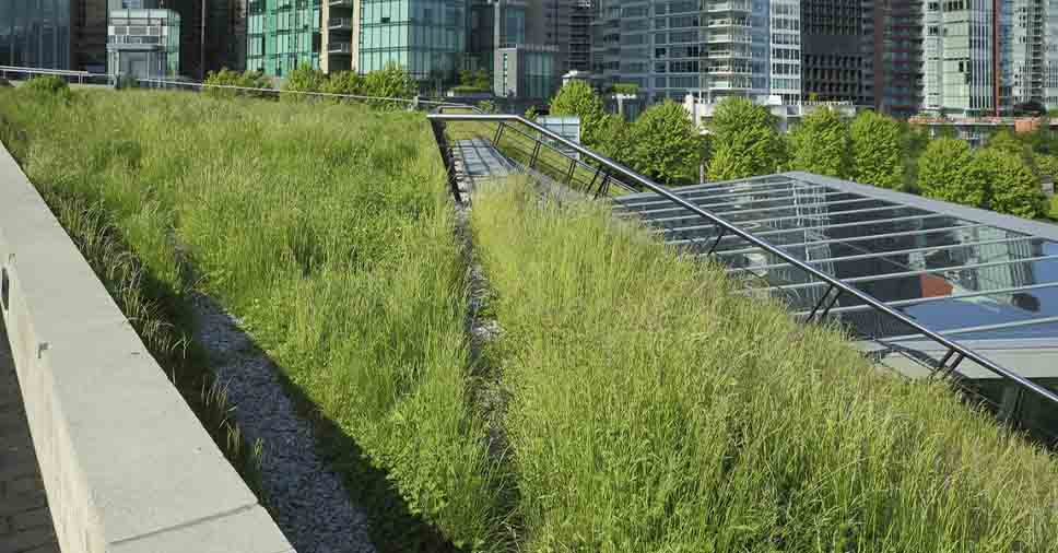 Descubra as vantagens da grama sintética em telhado verde