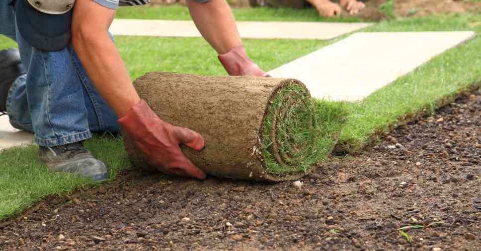 Grama sintética em sítio: confira 5 vantagens!