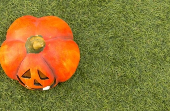 Conheça 5 formas de utilizar grama como decoração de Halloween! Uma abóbora sorridente sobre a grama, mostrando grama como decoração de Halloween.