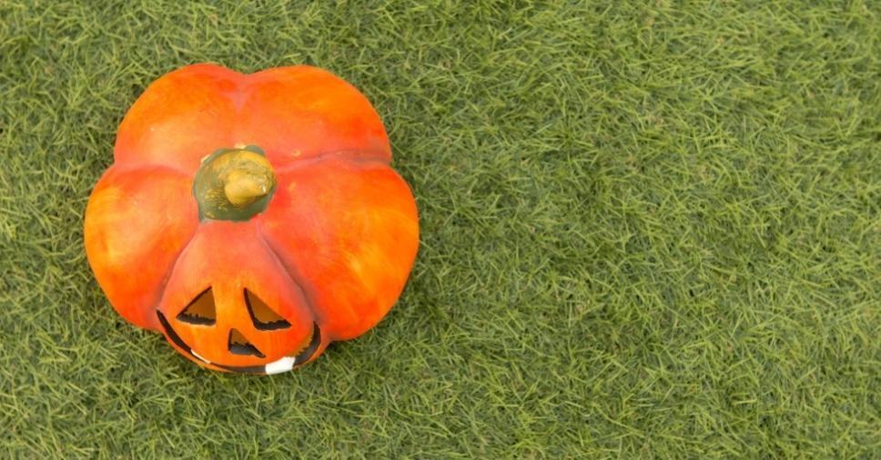Grama como decoração de Halloween: veja 5 ideias de uso!
